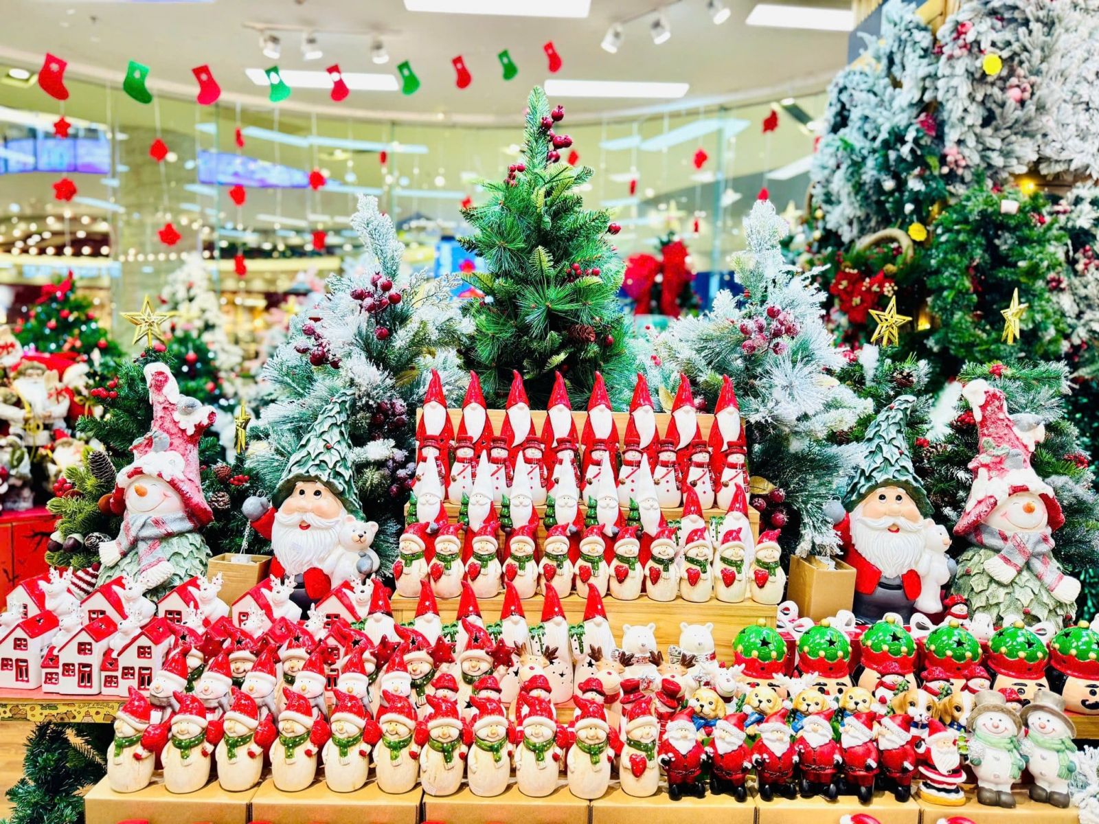 cây thông noel